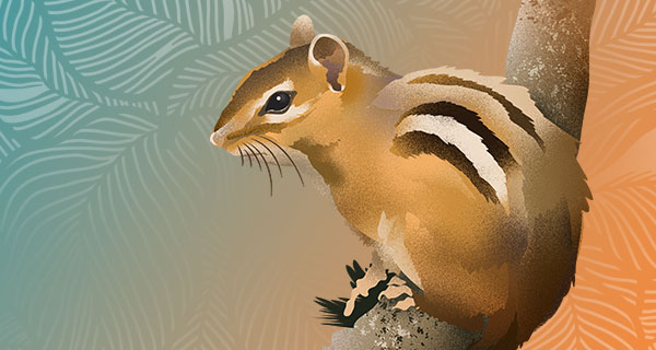 A painted image of a small chipmunk standing on a branch. The chipmunk has black and white stripes down its back and is looking off to the left.